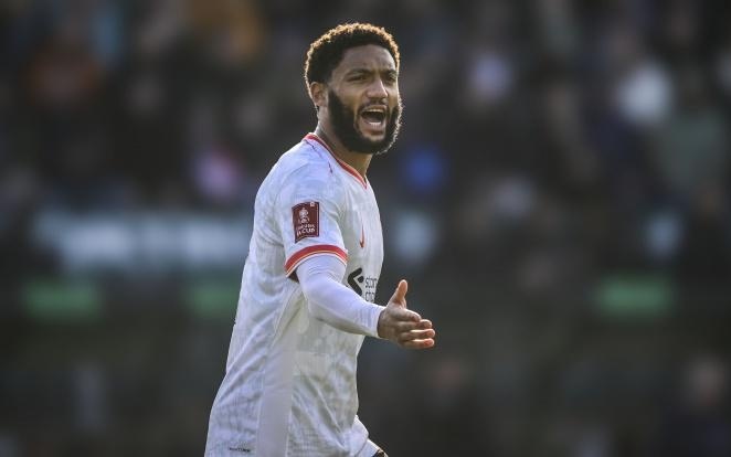 确实只有这 确实只有这