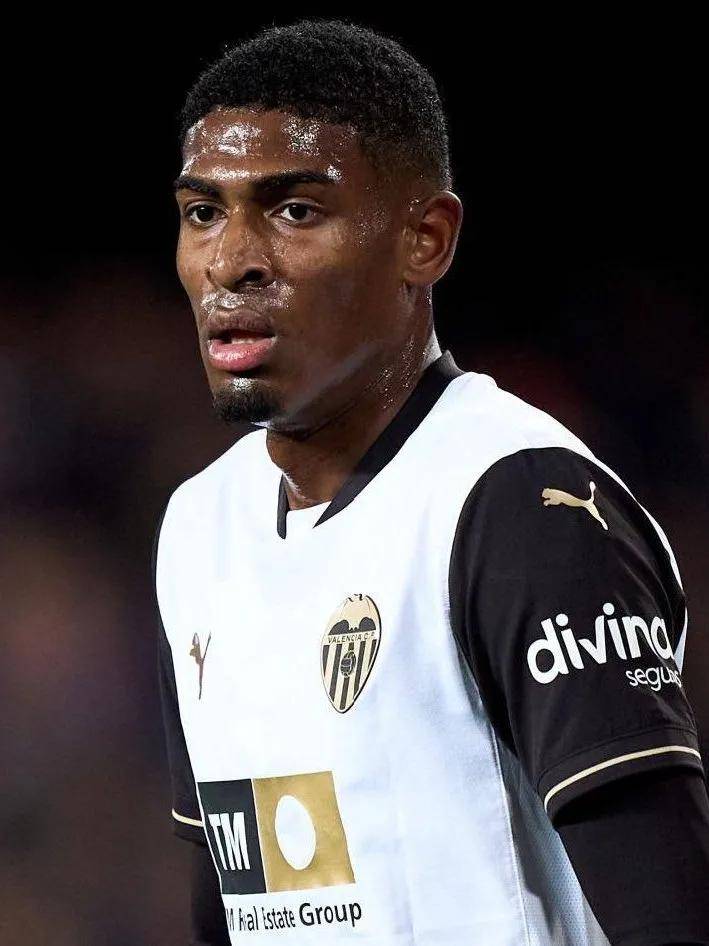 这种成功不 这种成功不